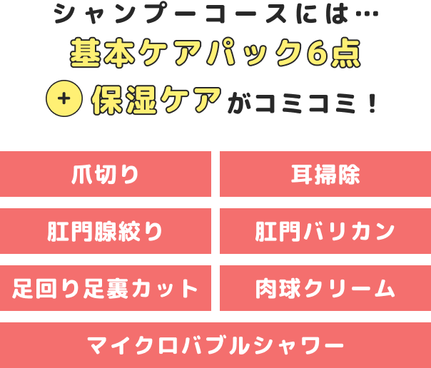 基本ケア6点コミコミ