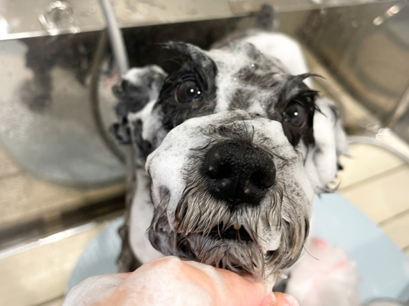 ストレスの軽減